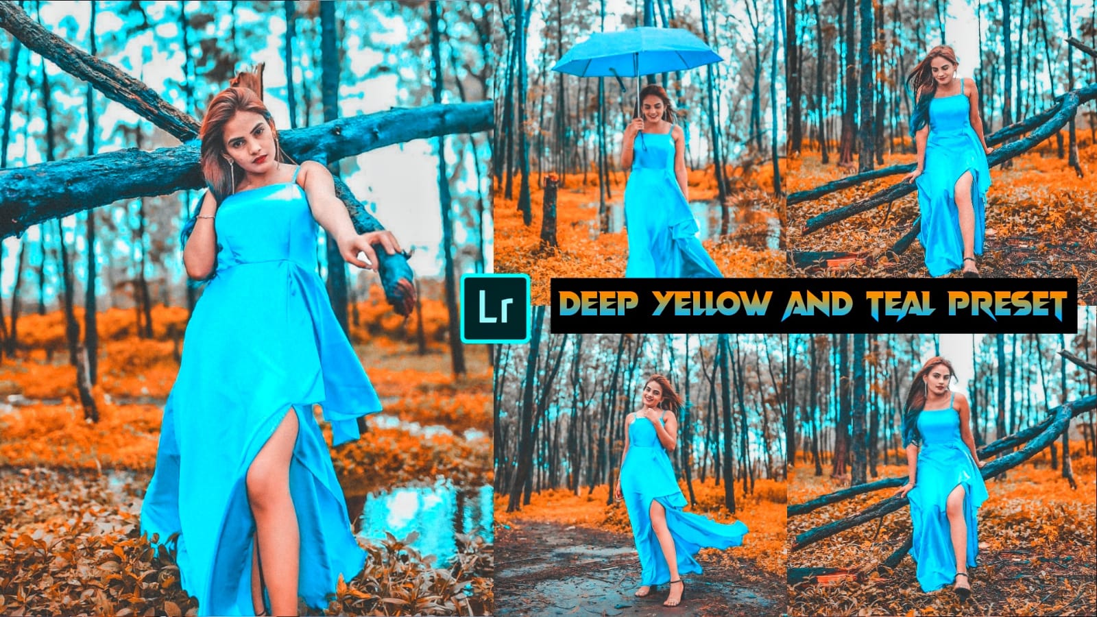 deep yellow and teal preset