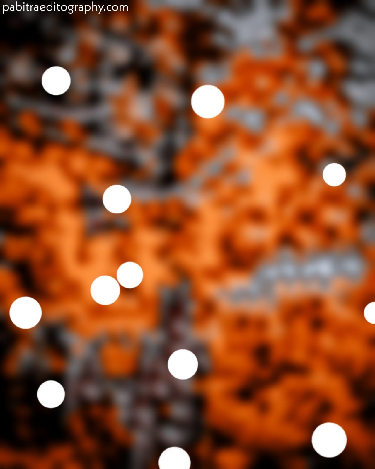 Blur Background Photo Editor Online - PABITRA EDITOGRAPHY - PABITRA ...