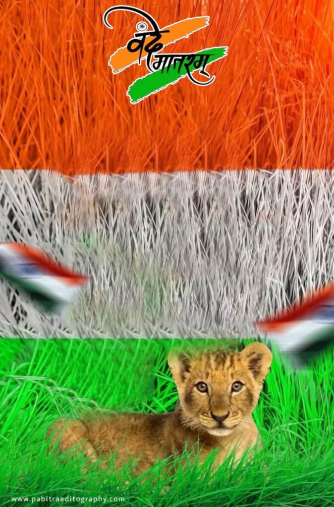 independence day photo editing