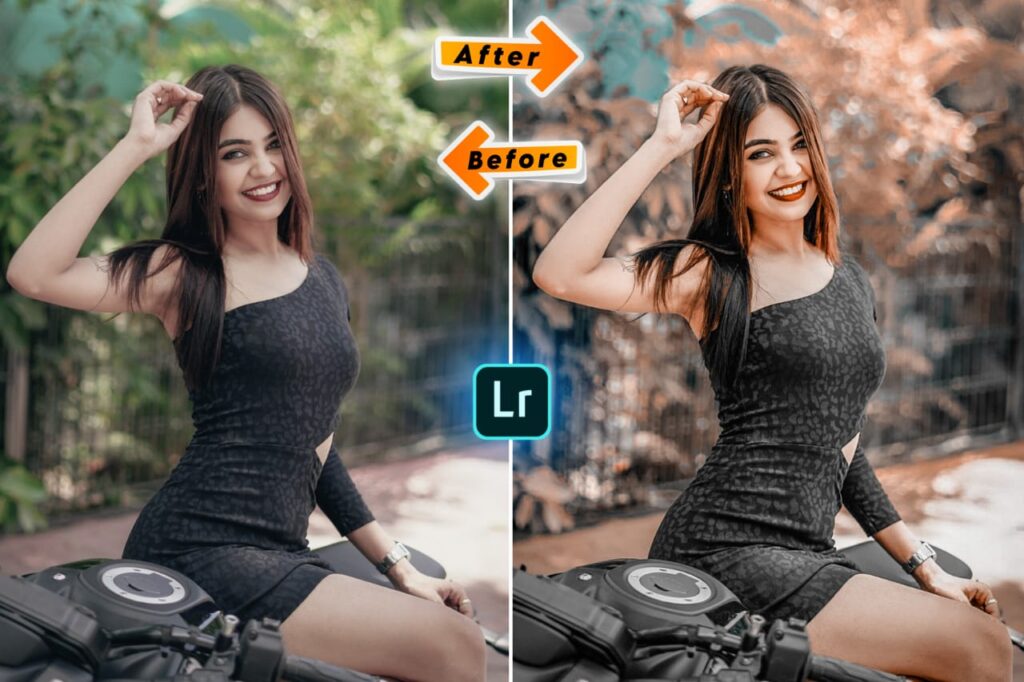 Brown and black presets lightroom mobile download