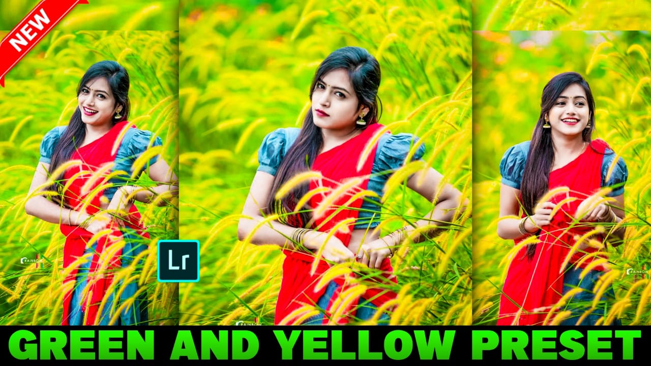 Lightroom Green And Yellow Preset Download Pabitra Editography