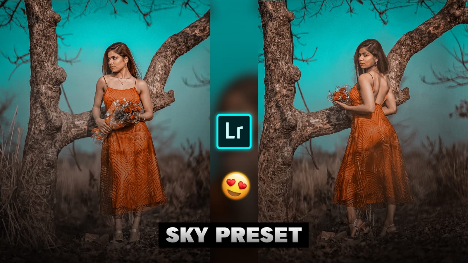 lightroom sky preset