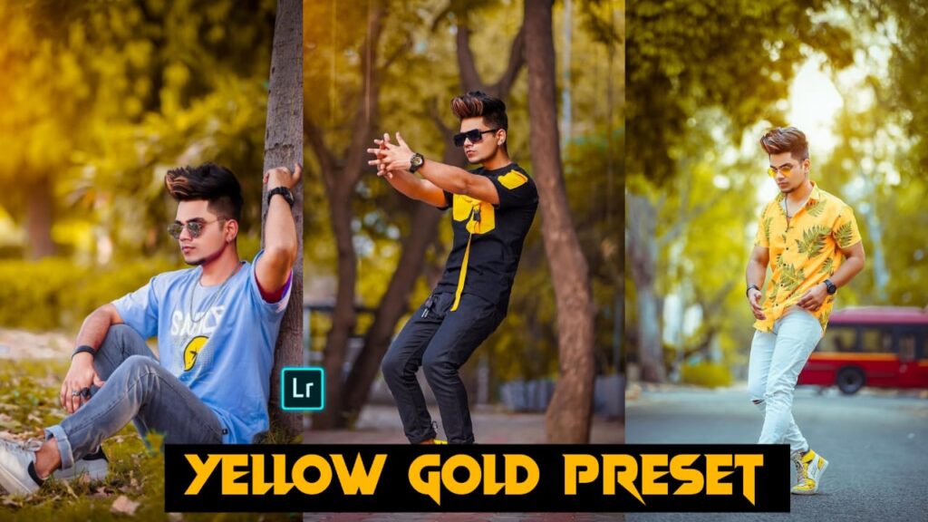 Lightroom Best Yellow Gold Preset Free Download - PABITRA EDITOGRAPHY lightroom best yellow gold preset