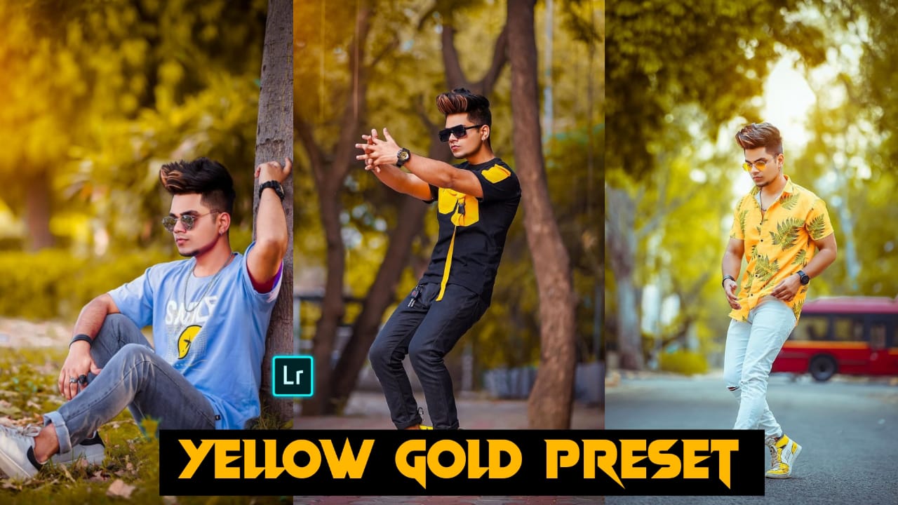 lightroom best yellow gold preset