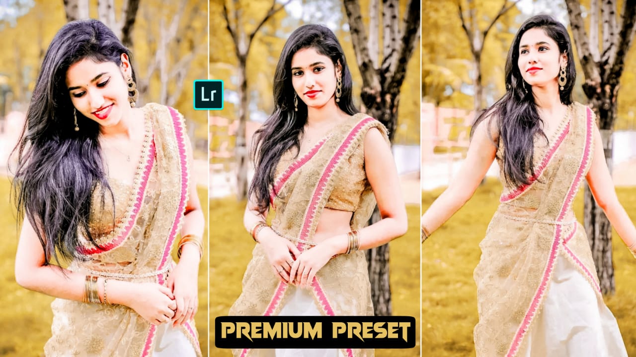 premium presets for lightroom mobile