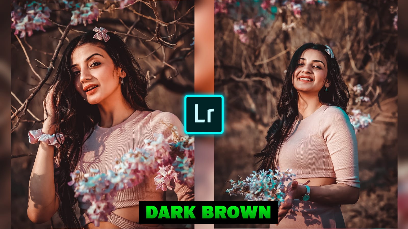 Dark Brown Preset