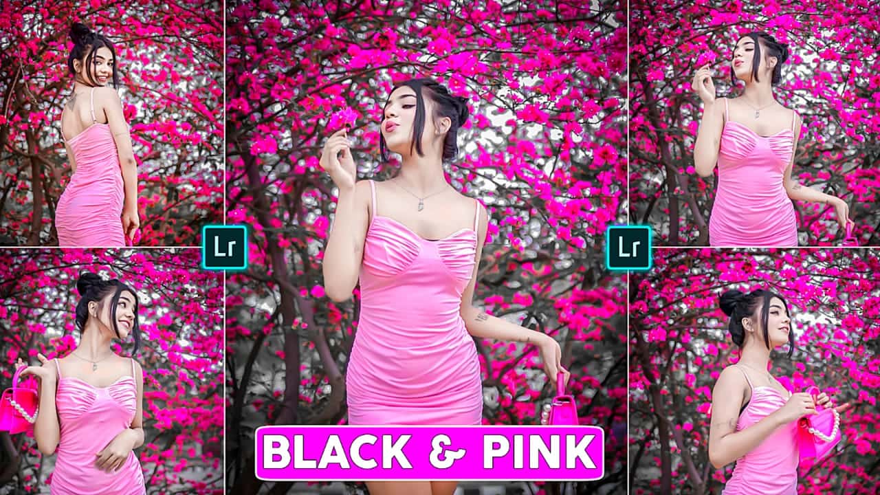Pink Preset Lightroom