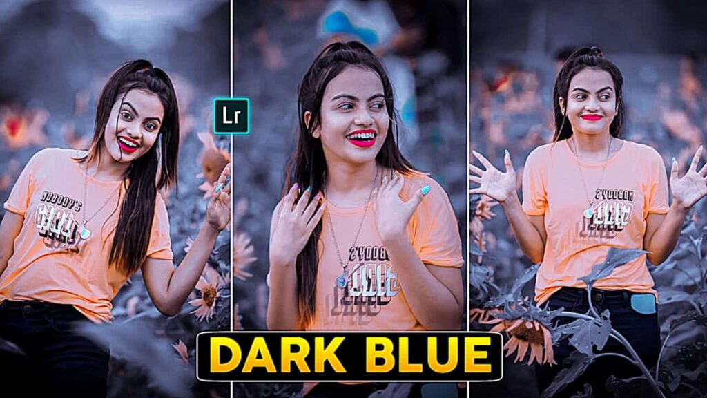dark blue lightroom preset download