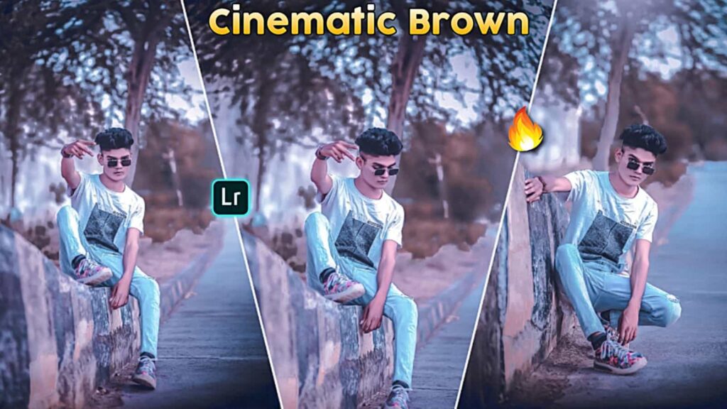 Cinematic Brown Preset Lightroom Mobile Free Download - PABITRA EDITOGRAPHY cinematic brown preset