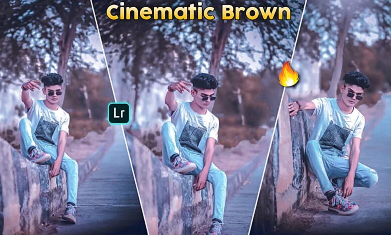 Cinematic Brown Preset Lightroom Mobile Free Download - PABITRA EDITOGRAPHY  