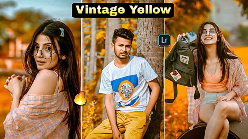 Vintage Yellow Preset Lightroom Mobile Download Free - PABITRA EDITOGRAPHY vintage yellow preset