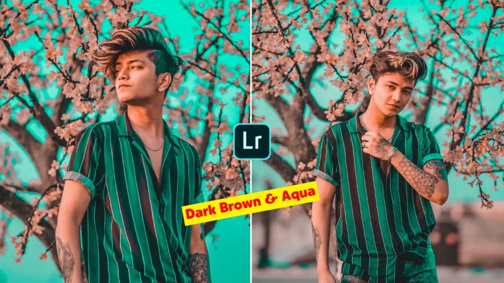 Dark Brown and Aqua Preset Lightroom Mobile Free Download - PABITRA EDITOGRAPHY dark brown and aqua preset