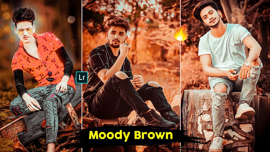 Moody Brown Preset | Free Lightroom Preset Download - PABITRA EDITOGRAPHY moody brown preset