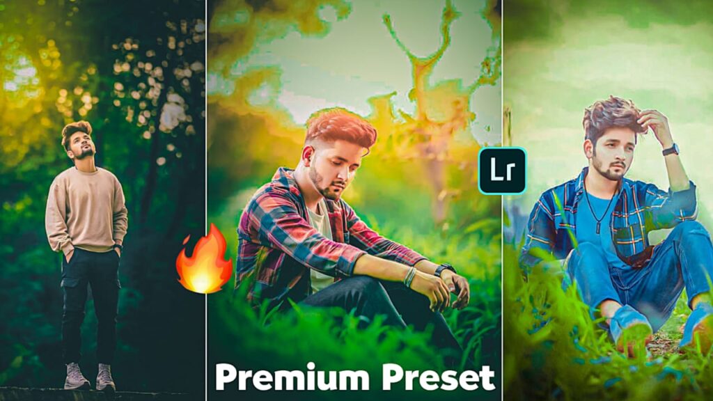 nsb pictures premium presets