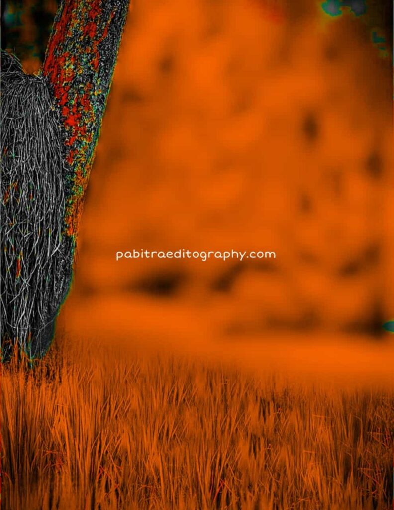 100+ Picsart CB Background HD Free Download - PABITRA EDITOGRAPHY -  