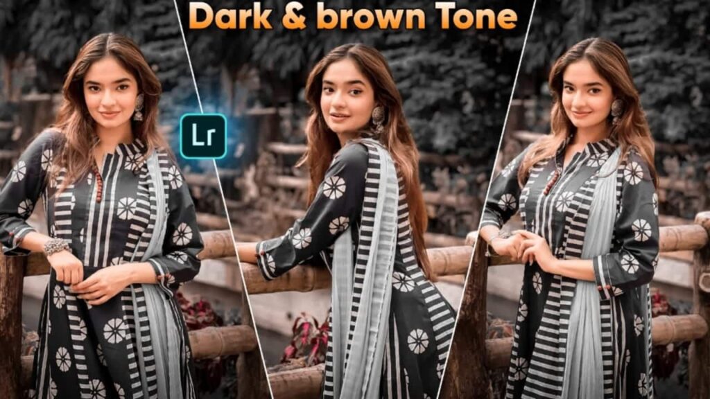 dark and brown preset