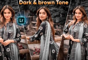 dark and brown preset