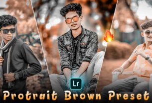 portrait brown preset lightroom