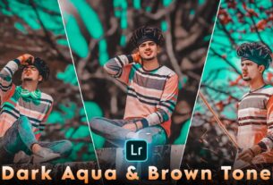 dark aqua and brown tone preset