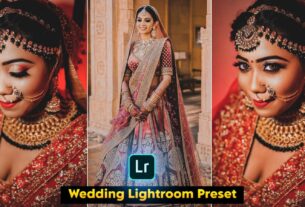 indian wedding presets for lightroom