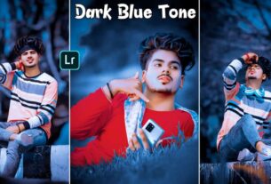 lightroom mobile dark blue tone preset