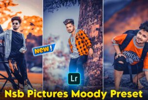 nsb pictures moody preset