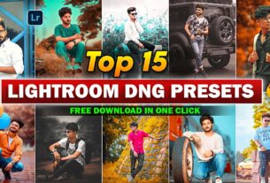 Lightroom TOP 15 DNG Presets
