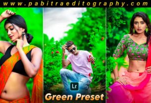 lightroom green preset