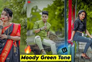 moody green preset dng