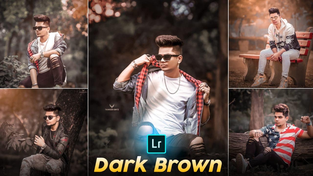 Dark brown preset lightroom mobile