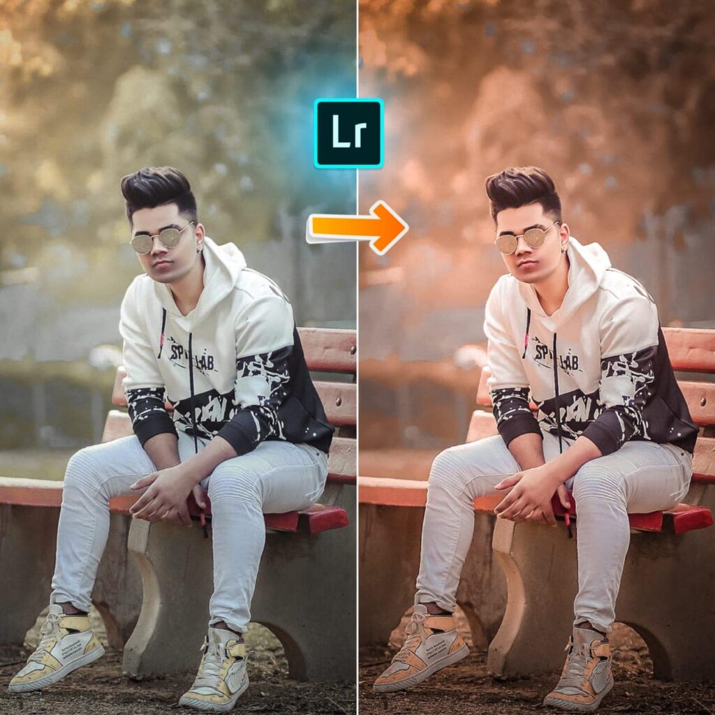Dark brown preset lightroom mobile