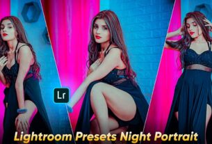 lightroom presets night portrait