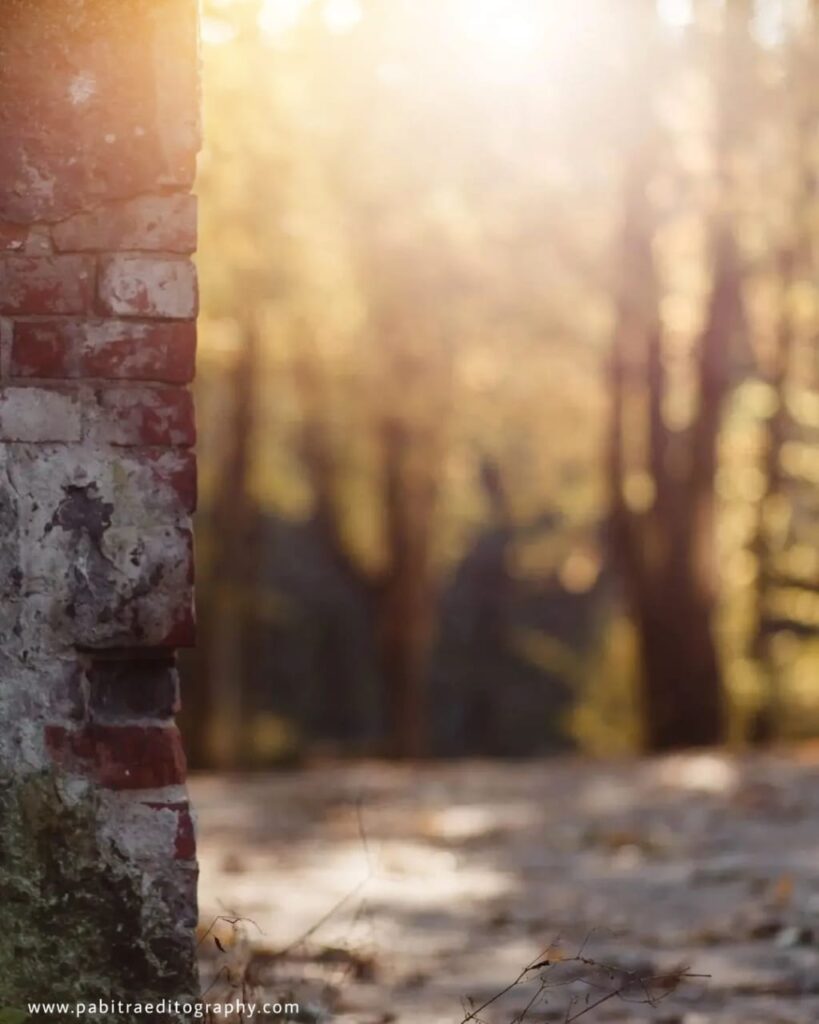 Image of Dslr Editing Background