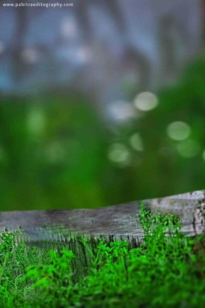 Image of Dslr background download