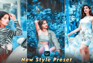 lightroom new style presets