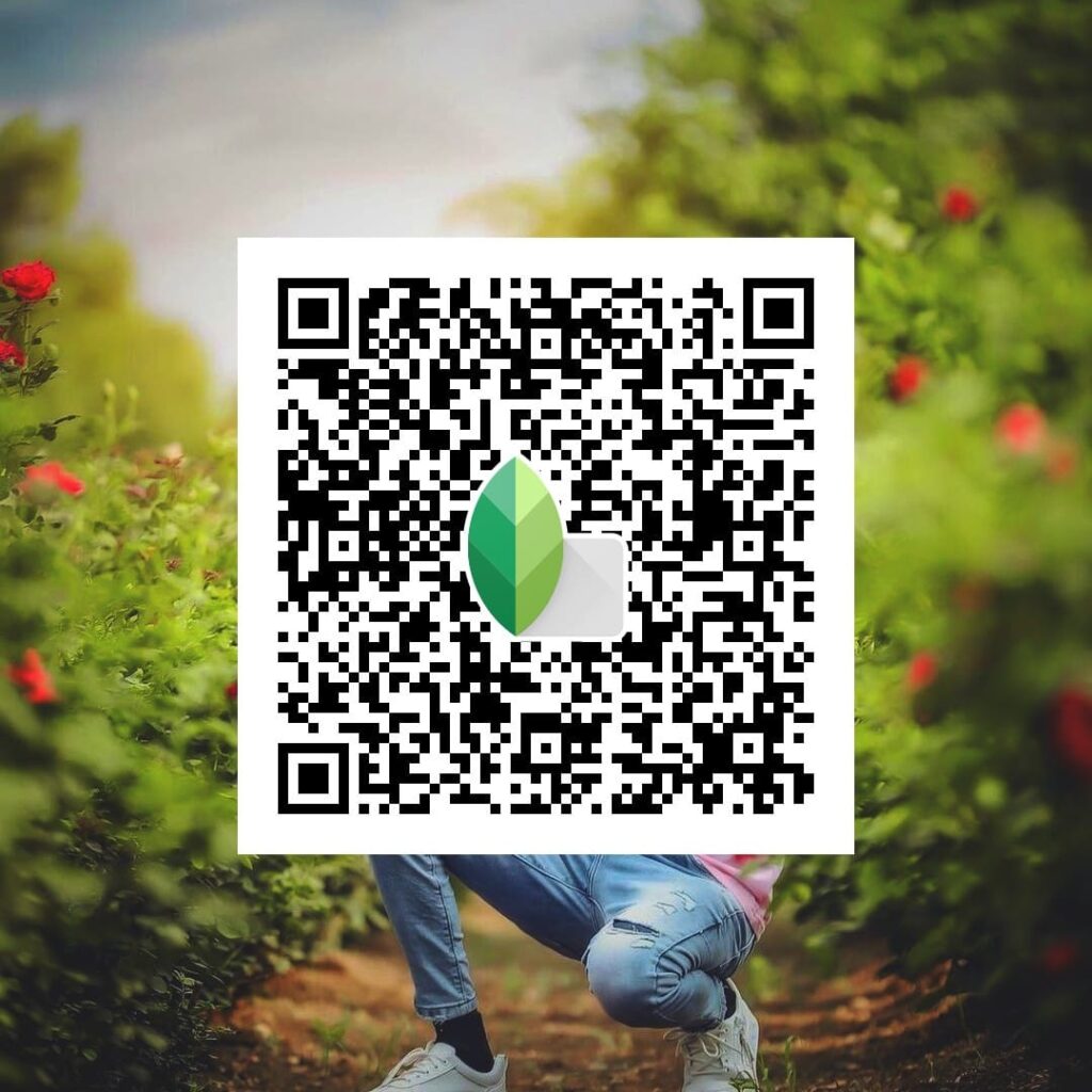 snapseed qr codes hd